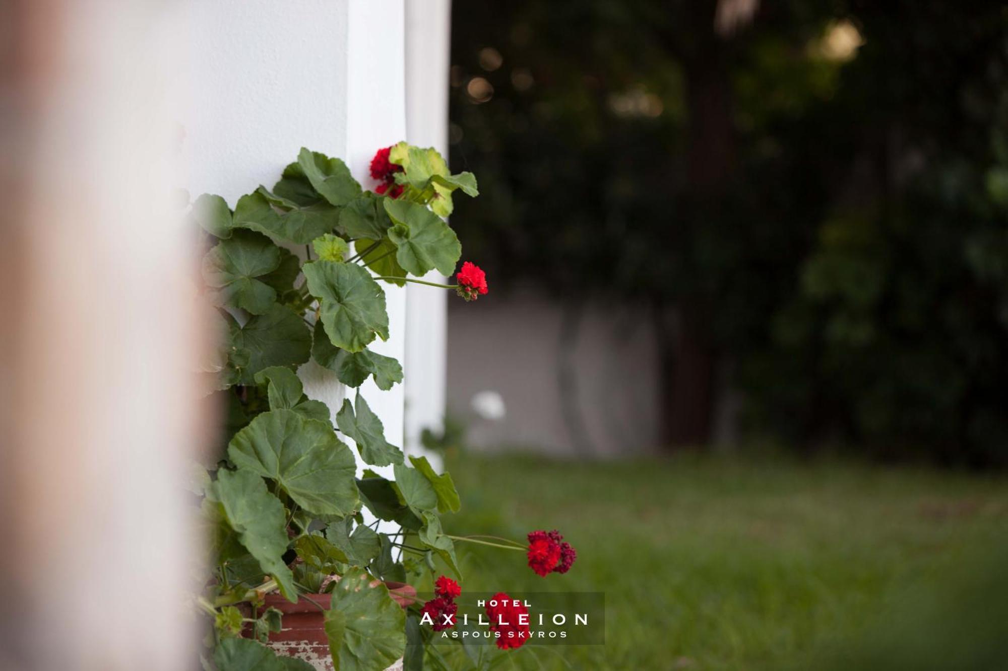 Achilleion Hotel Скирос Экстерьер фото